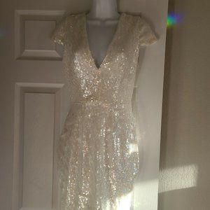 Dress The Population Sequin Dress
